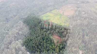 Residential Land For Sale in Porto Moniz, Portugal