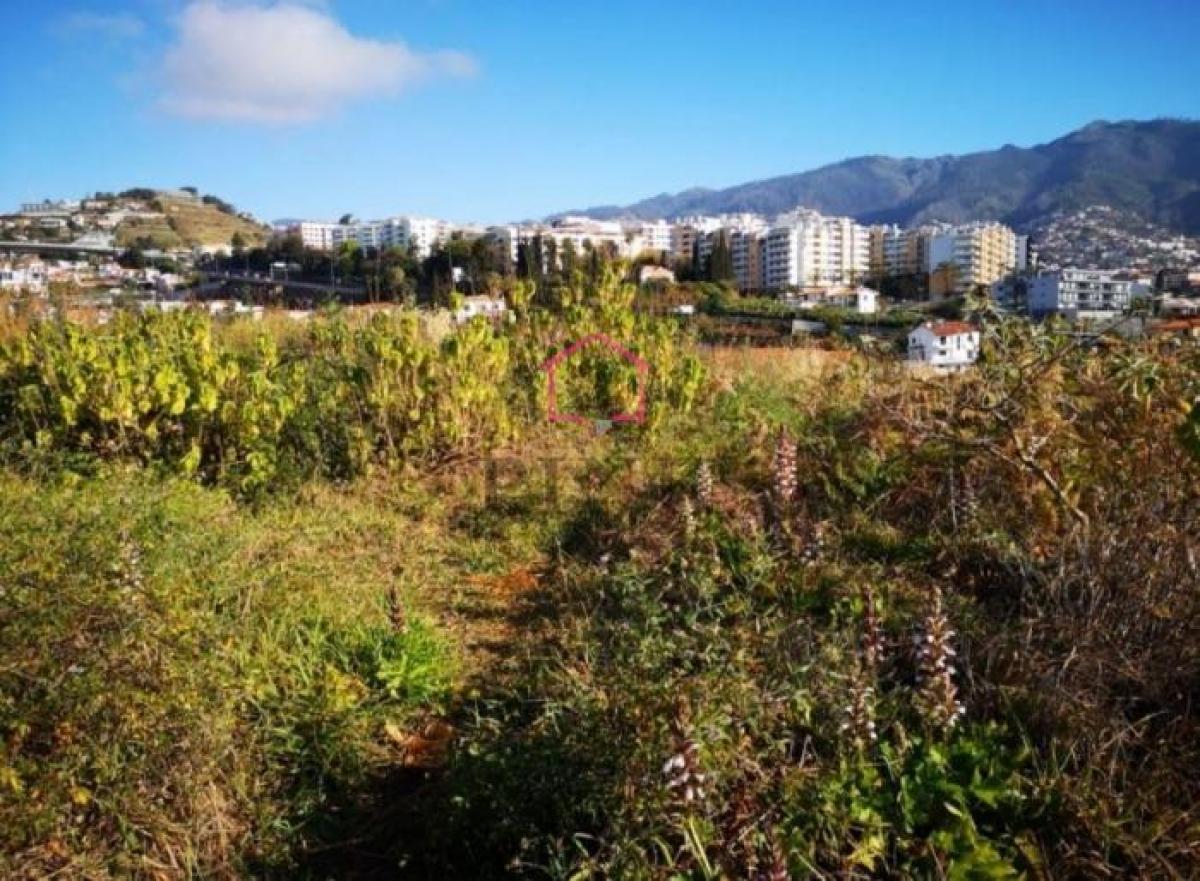 Picture of Residential Land For Sale in Funchal, Madeira, Portugal