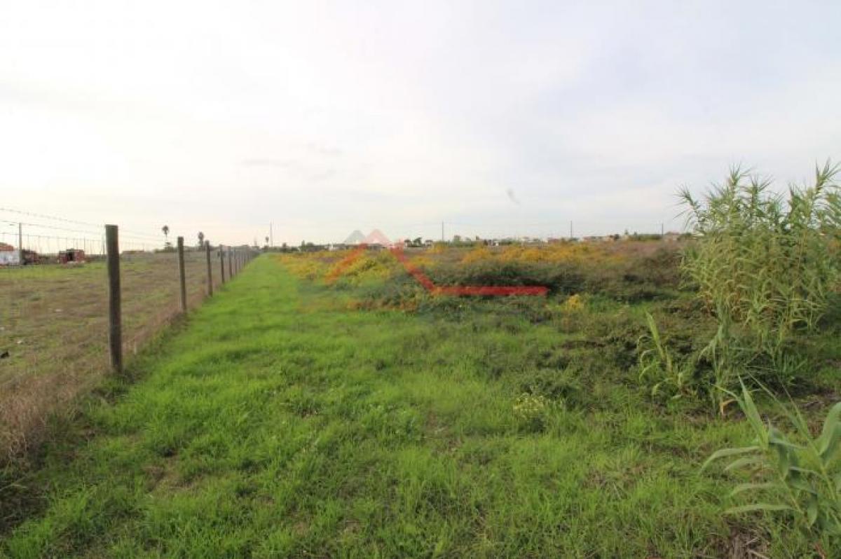 Picture of Residential Land For Sale in Palmela, Sterea Ellas-Évvoia, Portugal