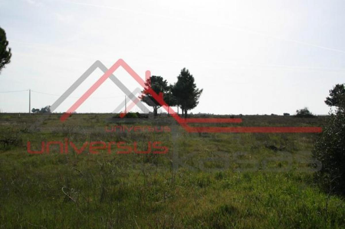 Picture of Residential Land For Sale in Palmela, Sterea Ellas-Évvoia, Portugal