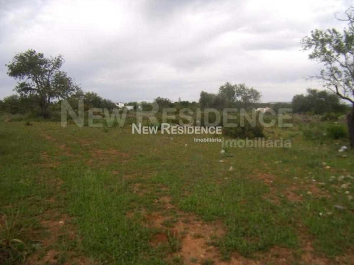 Picture of Residential Land For Sale in Albufeira, Algarve, Portugal