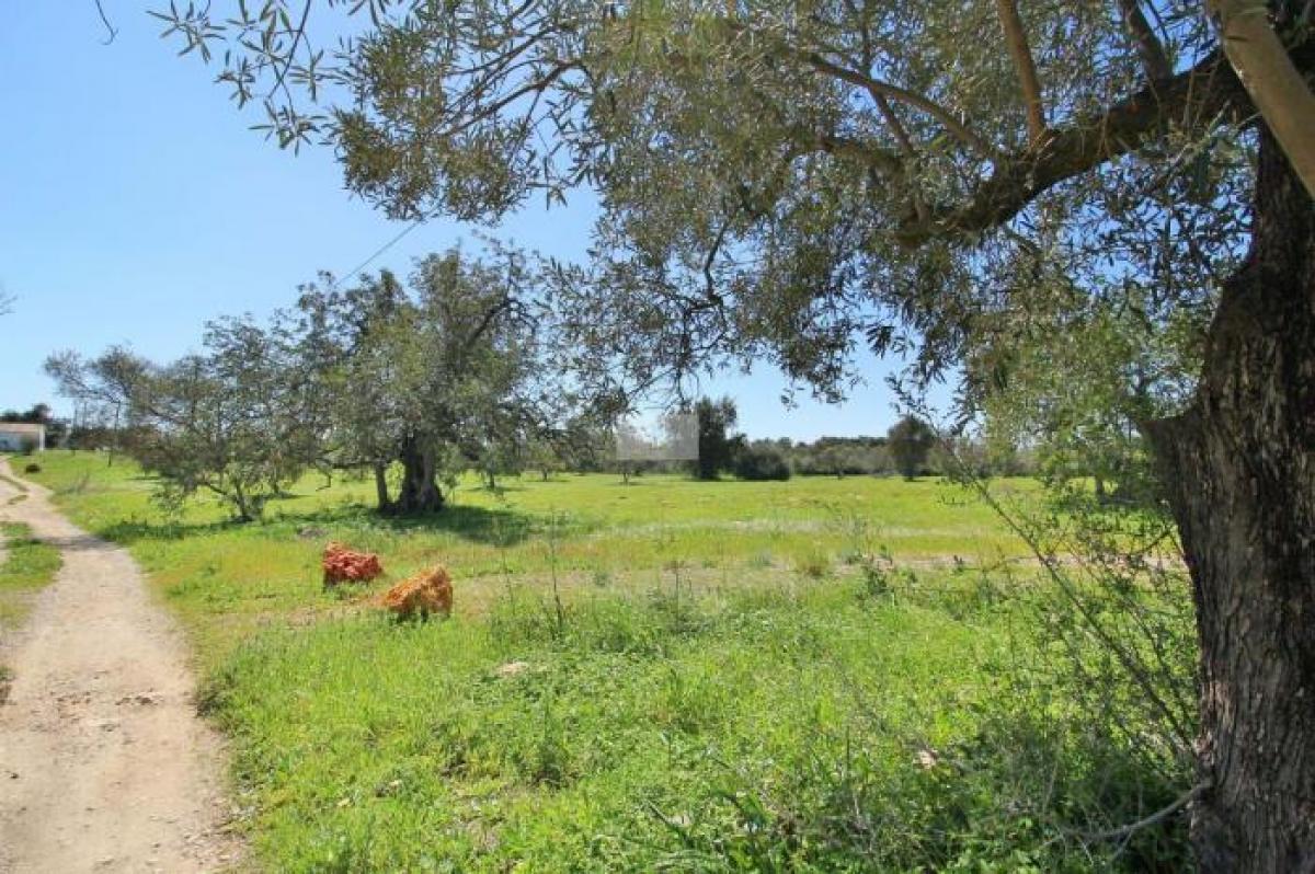 Picture of Residential Land For Sale in Tavira, Algarve, Portugal