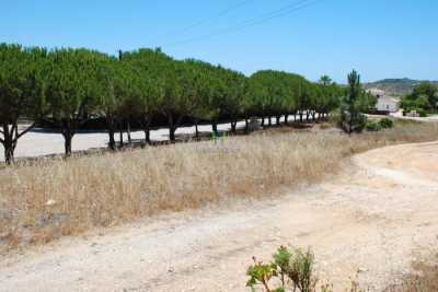 Residential Land For Sale in Vila Do Bispo, Portugal
