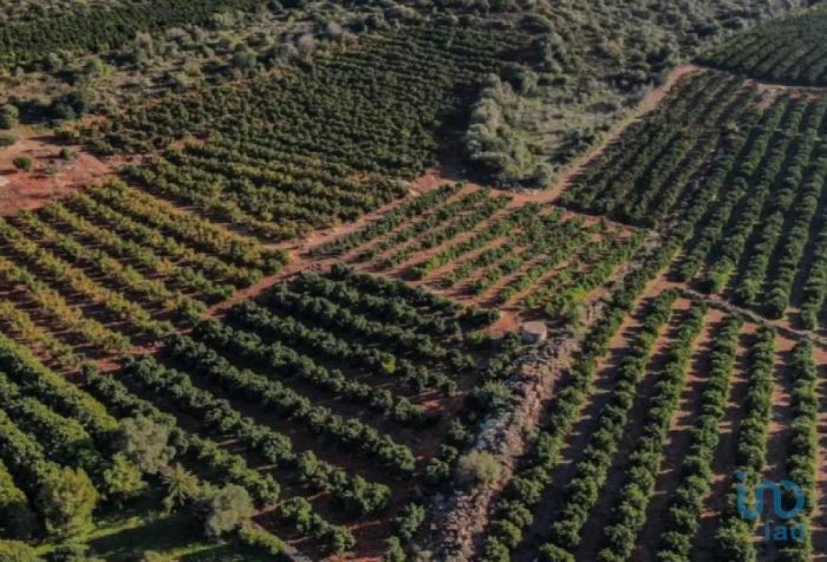 Picture of Residential Land For Sale in Tavira, Algarve, Portugal