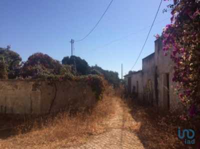 Residential Land For Sale in Olho, Portugal