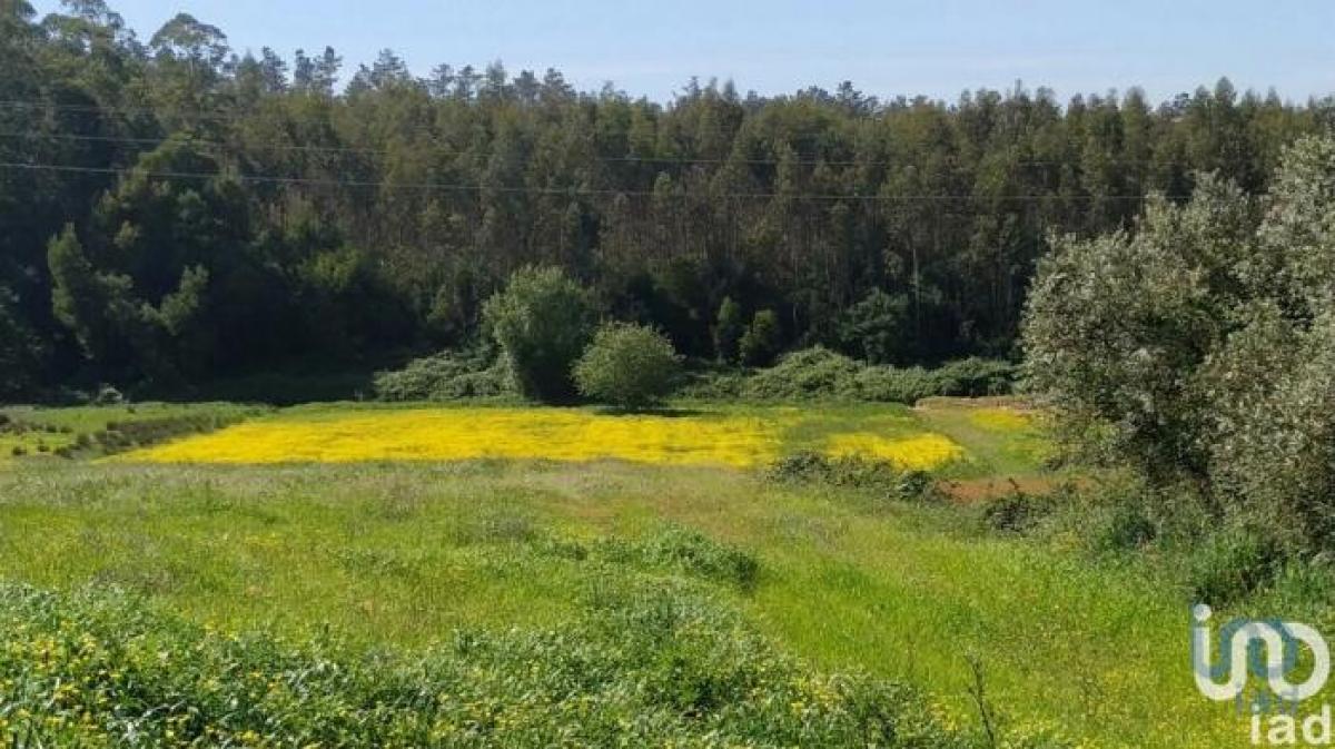 Picture of Residential Land For Sale in Leiria, Beira, Portugal