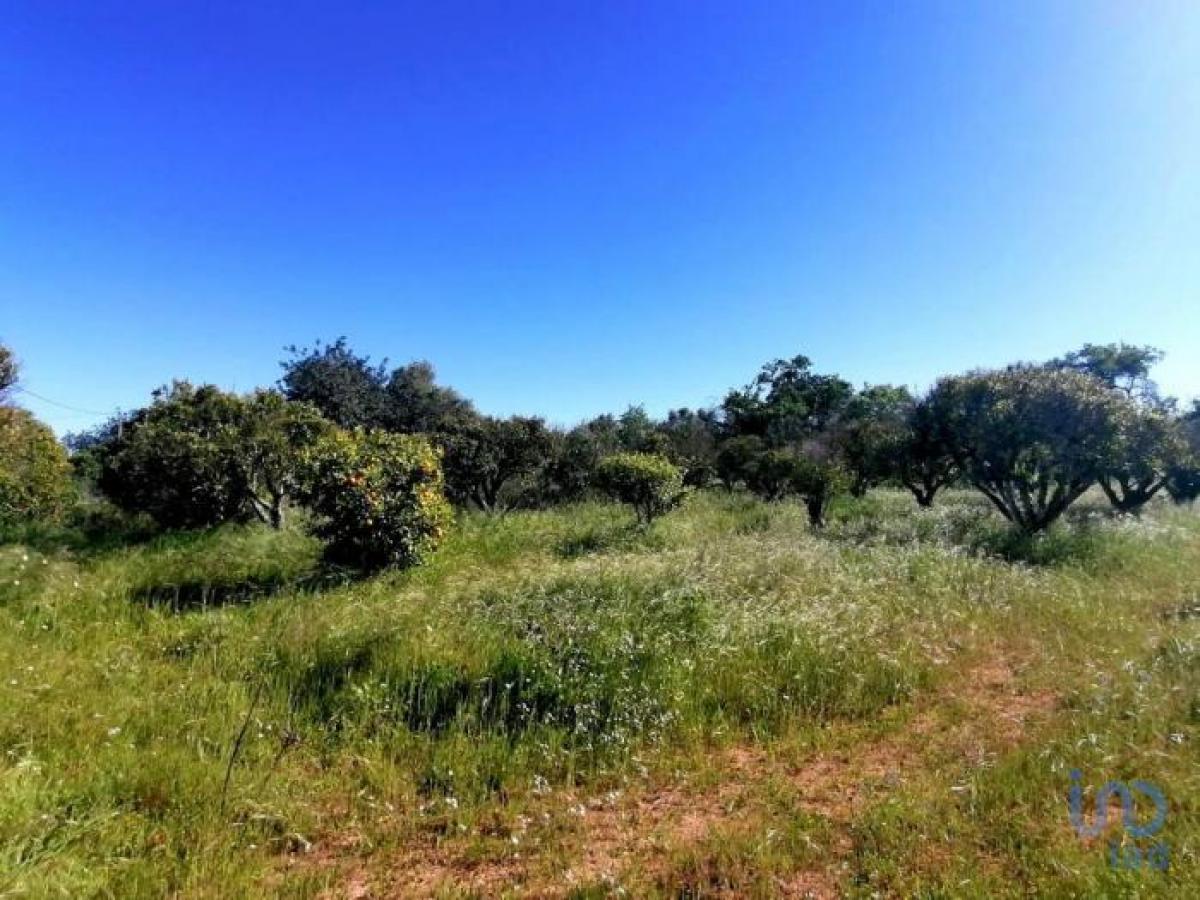 Picture of Residential Land For Sale in Loul, Algarve, Portugal