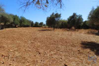 Residential Land For Rent in Albufeira, Portugal