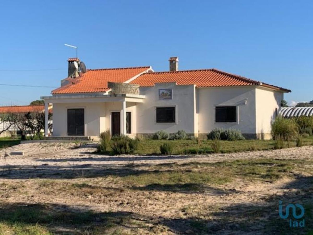 Picture of Residential Land For Sale in Seixal, Madeira, Portugal