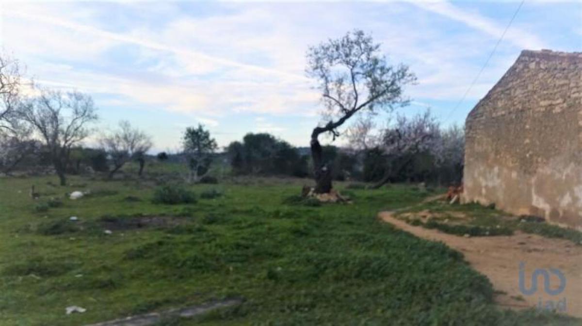 Picture of Residential Land For Sale in Albufeira, Algarve, Portugal