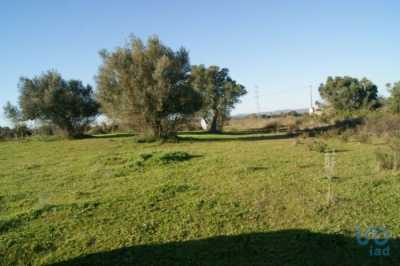 Residential Land For Sale in Silves, Portugal
