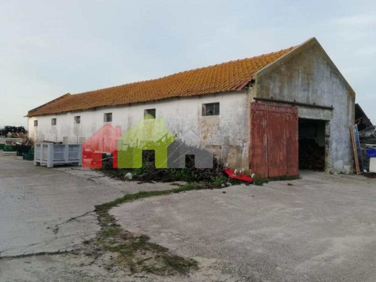 Picture of Home For Sale in Palmela, Sterea Ellas-Évvoia, Portugal