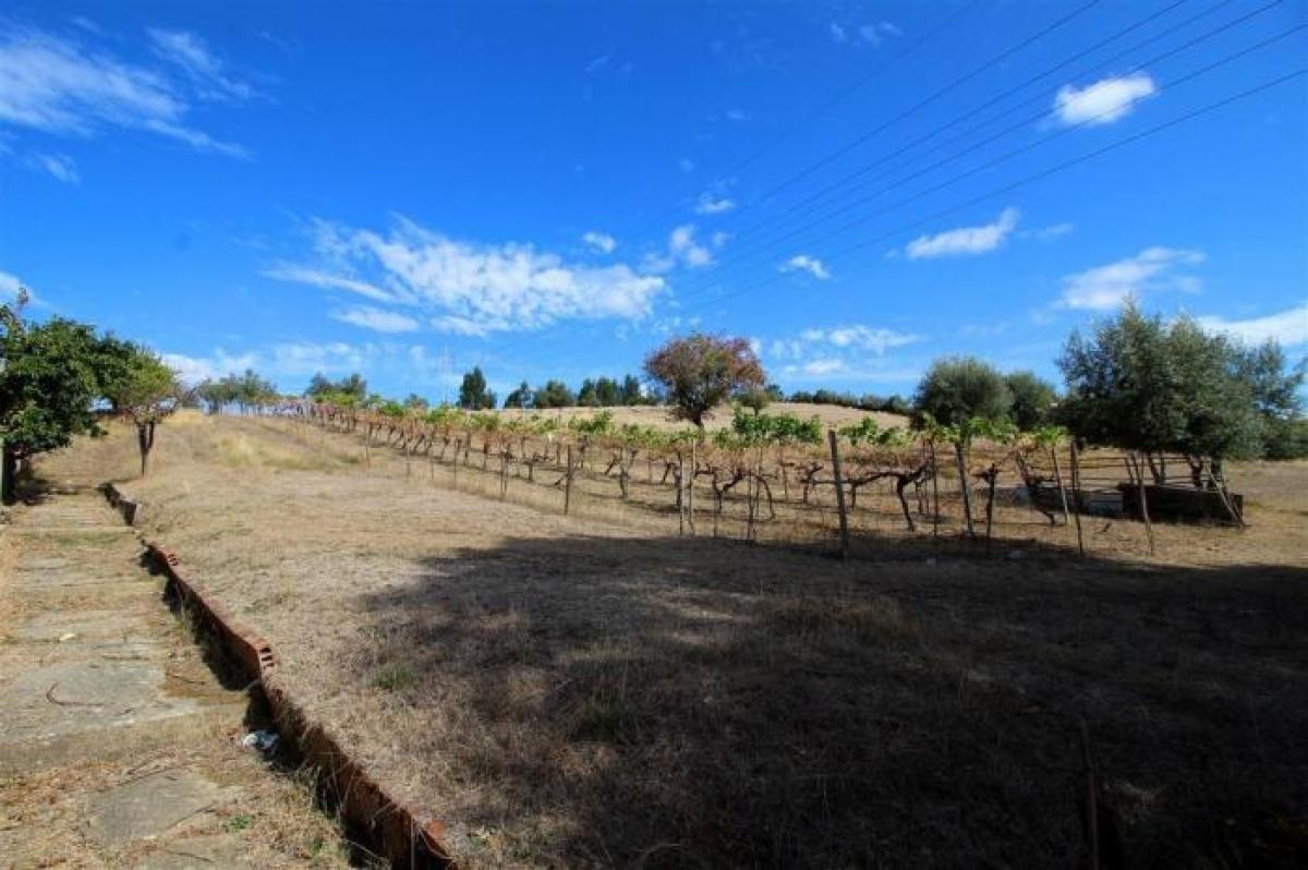 Picture of Home For Sale in Coimbra, Beira, Portugal