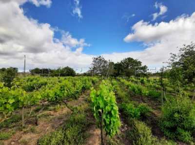 Residential Land For Sale in Palmela, Portugal