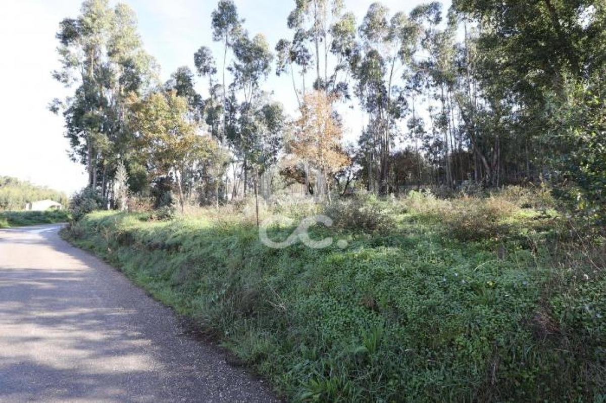 Picture of Residential Land For Sale in Coimbra, Beira, Portugal