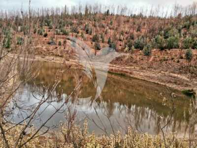 Residential Land For Sale in Silves, Portugal