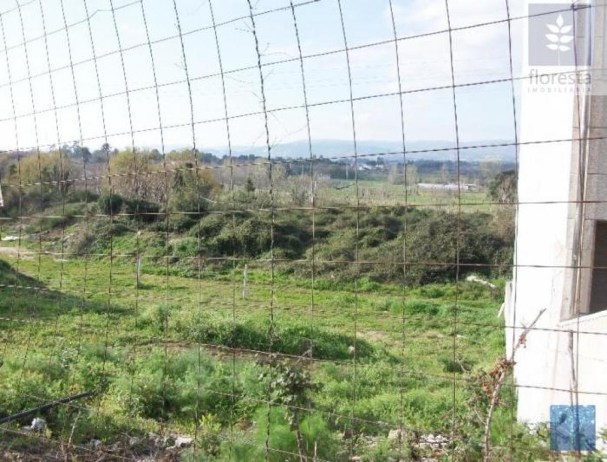 Picture of Residential Land For Sale in Braga, Entre-Douro-e-Minho, Portugal