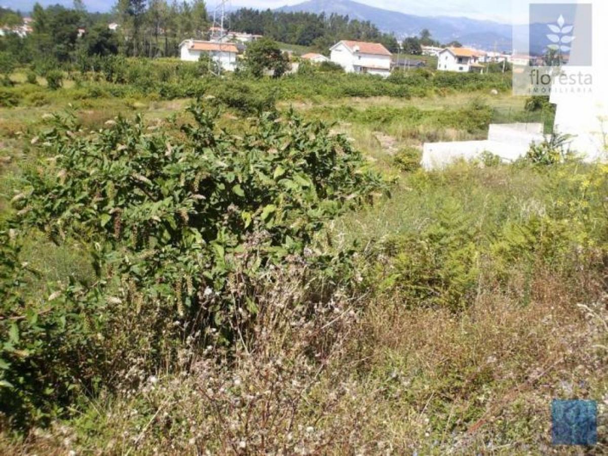 Picture of Residential Land For Sale in Braga, Entre-Douro-e-Minho, Portugal