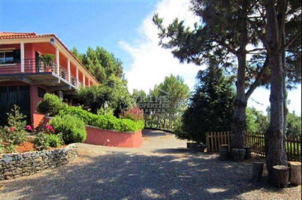 Picture of Villa For Sale in Santa Cruz, Madeira, Portugal