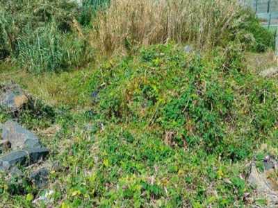 Residential Land For Sale in Funchal, Portugal