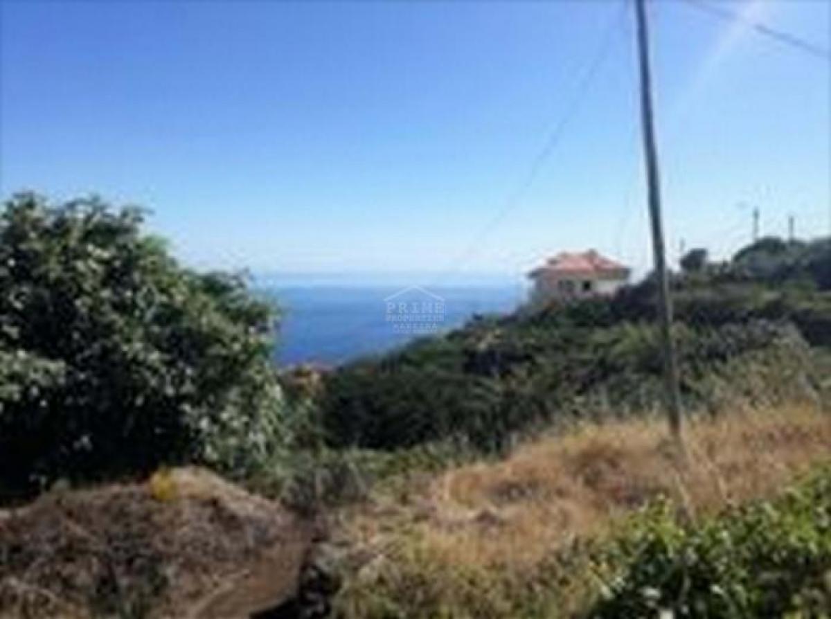 Picture of Residential Land For Sale in Santa Cruz, Madeira, Portugal