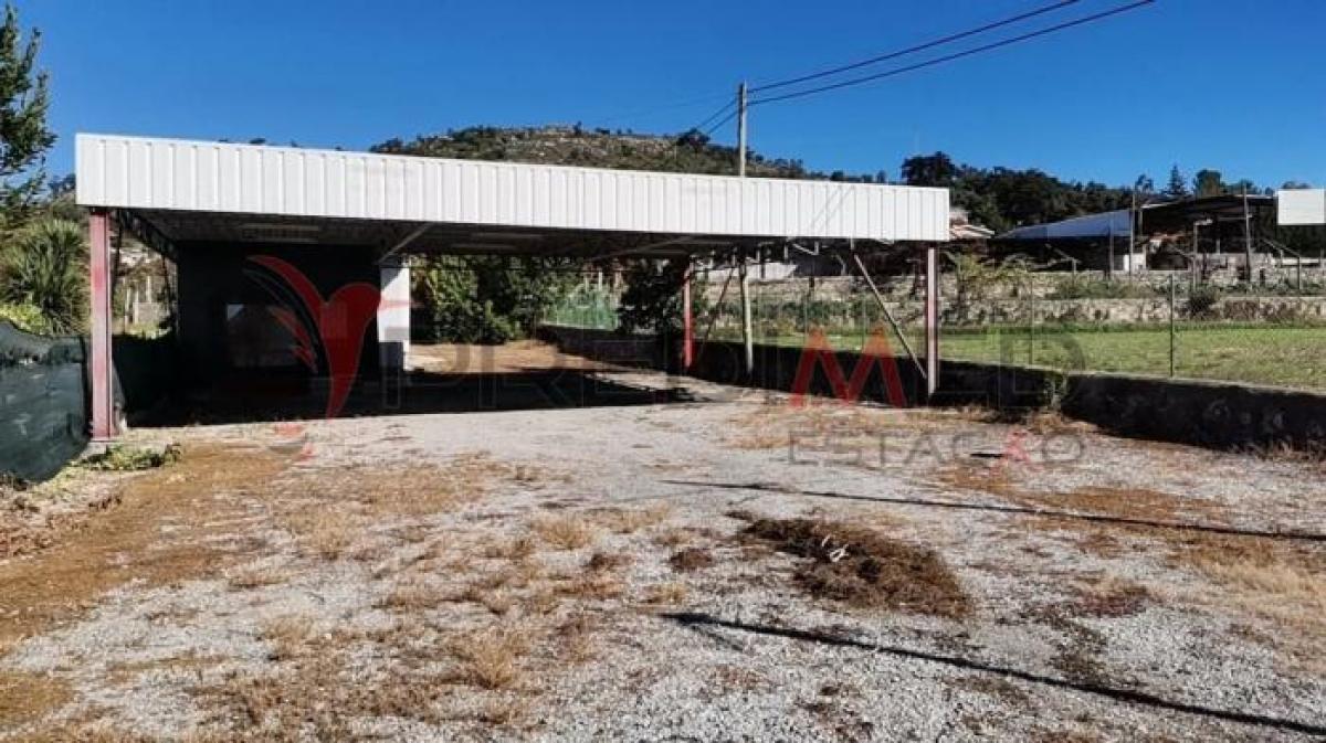 Picture of Retail For Sale in Braga, Entre-Douro-e-Minho, Portugal