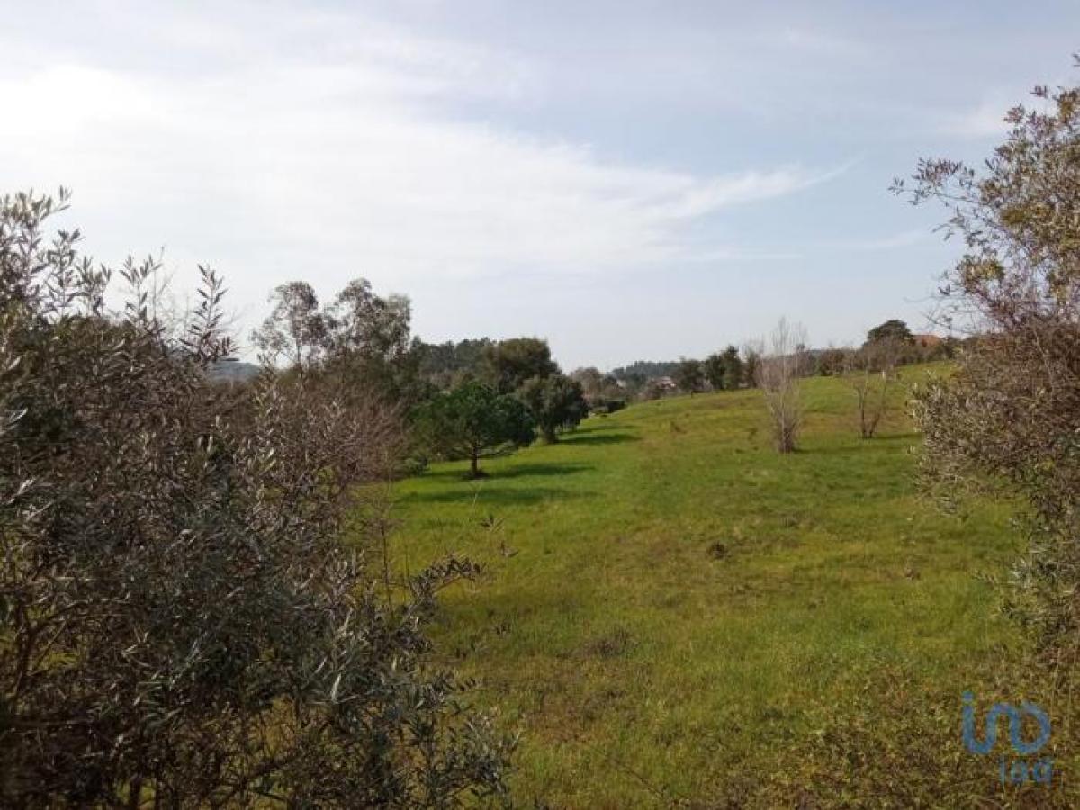 Picture of Residential Land For Sale in Leiria, Beira, Portugal