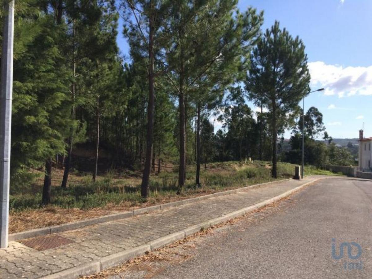 Picture of Residential Land For Sale in Leiria, Beira, Portugal