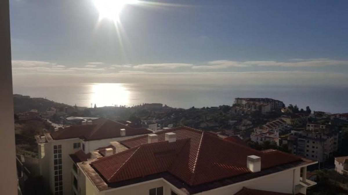 Picture of Apartment For Rent in Santa Cruz, Madeira, Portugal