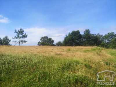 Residential Land For Sale in Ribeira Brava, Portugal