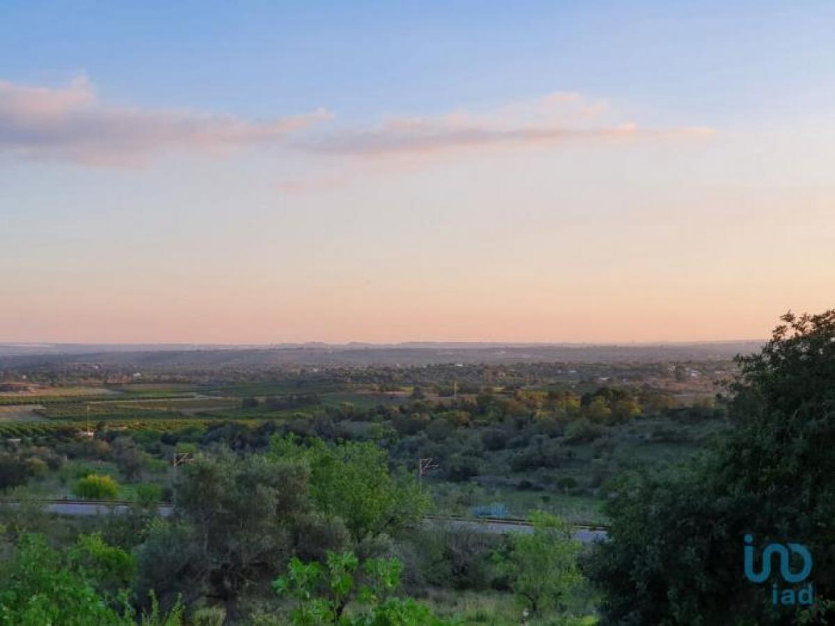 Picture of Residential Land For Sale in Silves, Algarve, Portugal