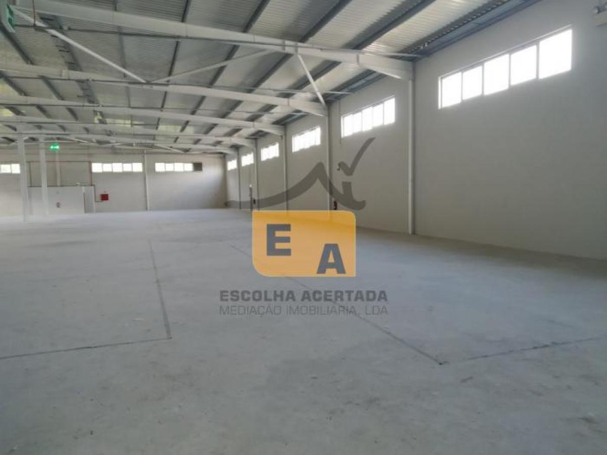 Picture of Industrial For Sale in Braga, Entre-Douro-e-Minho, Portugal