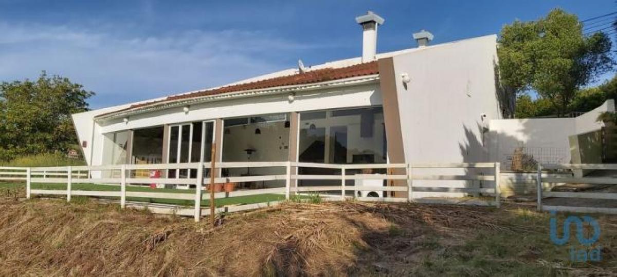 Picture of Retail For Rent in Caldas Da Rainha, Region Of Murcia, Portugal