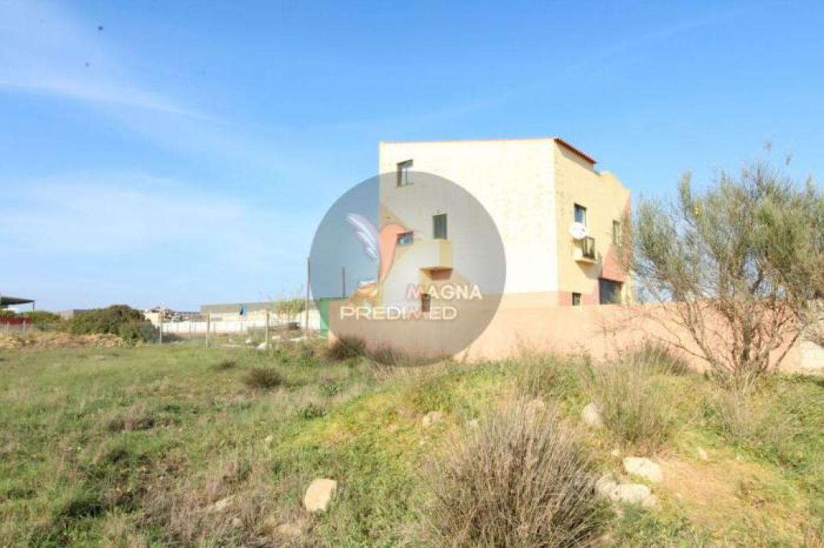 Picture of Industrial For Sale in Silves, Algarve, Portugal