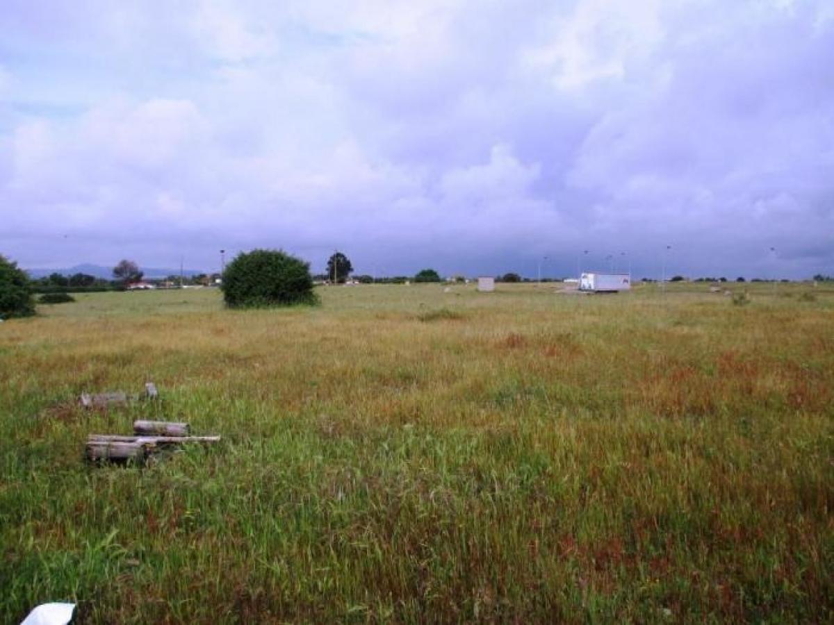 Picture of Residential Land For Sale in Palmela, Sterea Ellas-Évvoia, Portugal