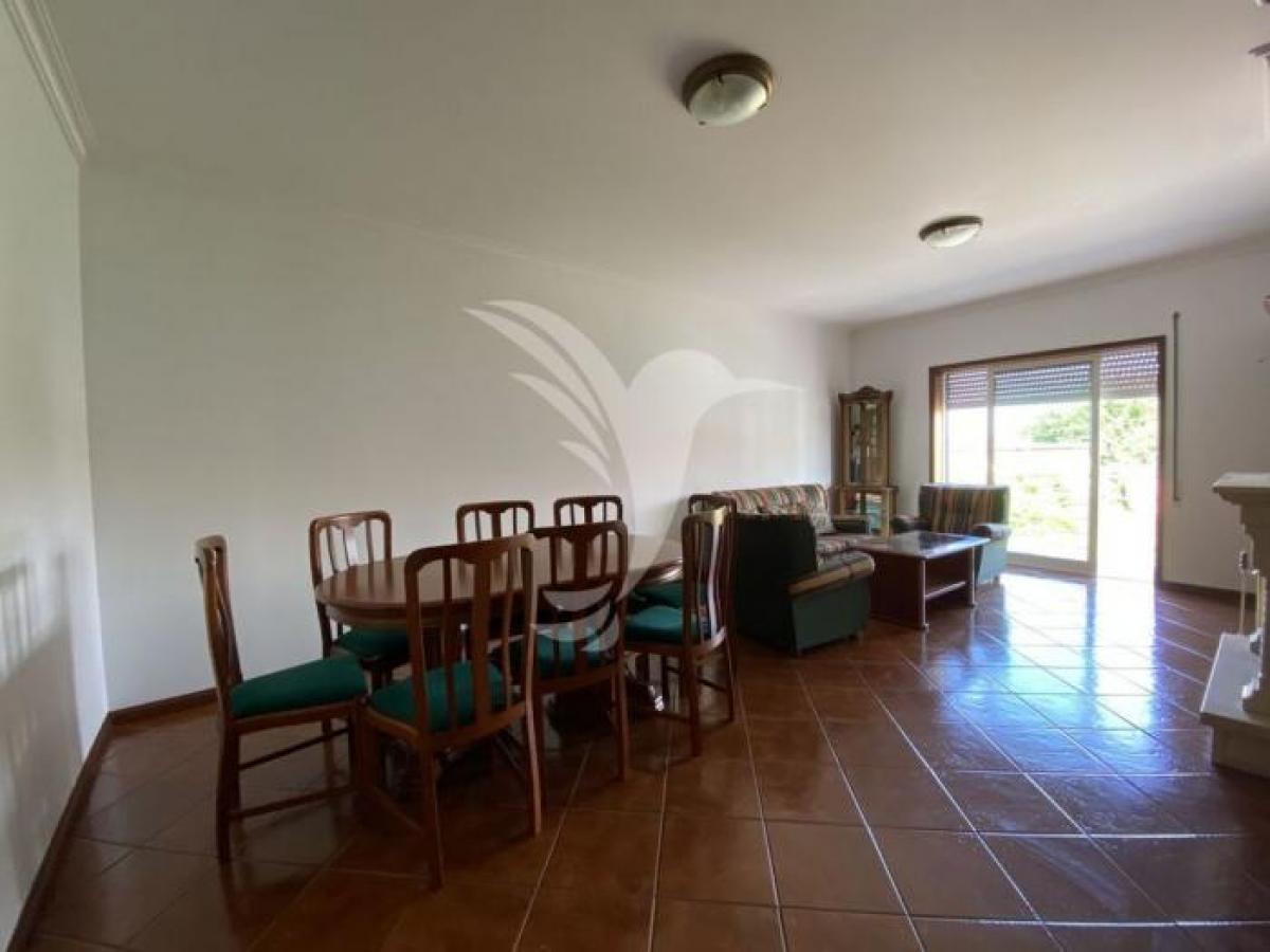 Picture of Apartment For Rent in Aveiro, Beira, Portugal