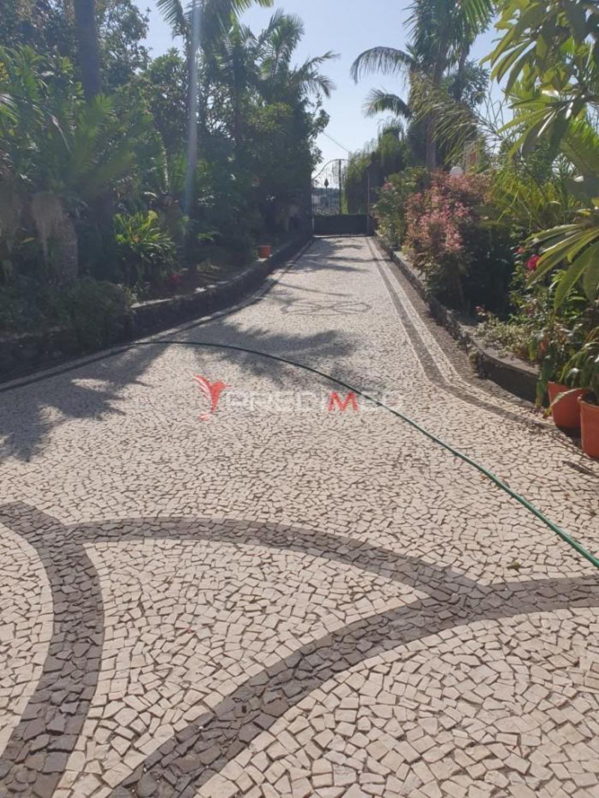 Picture of Home For Sale in Funchal, Madeira, Portugal