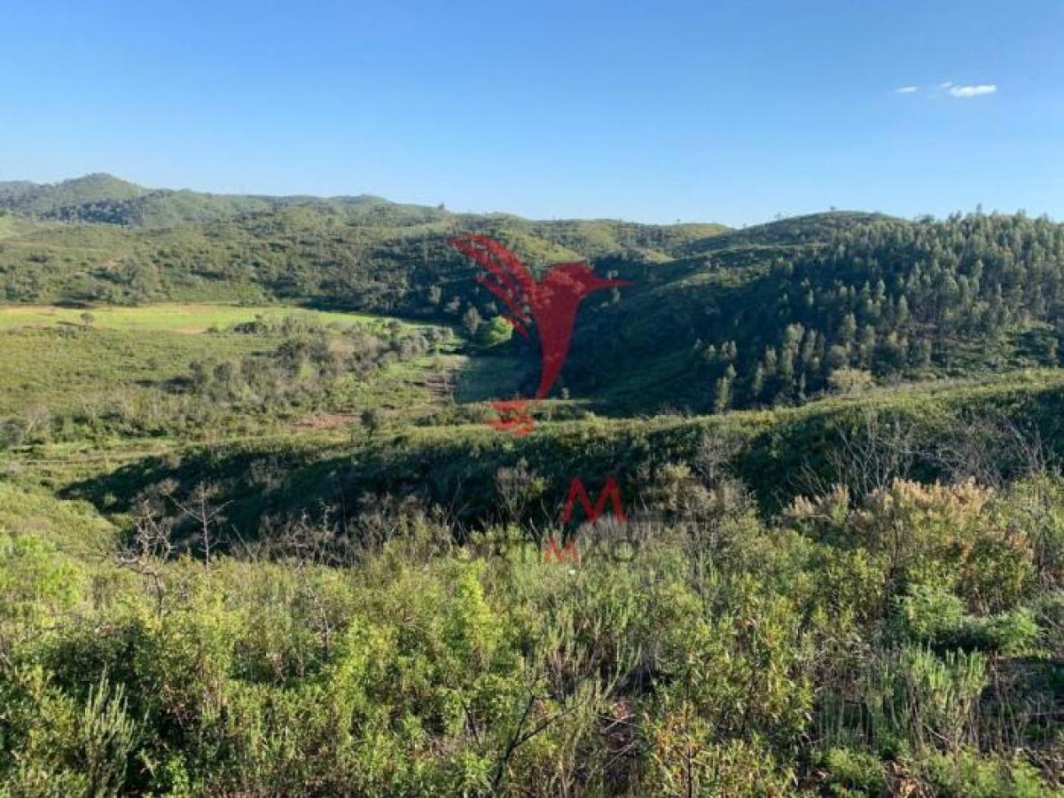 Picture of Residential Land For Sale in Silves, Algarve, Portugal
