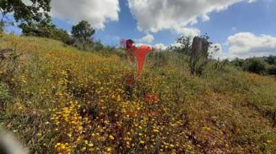 Home For Sale in Silves, Portugal