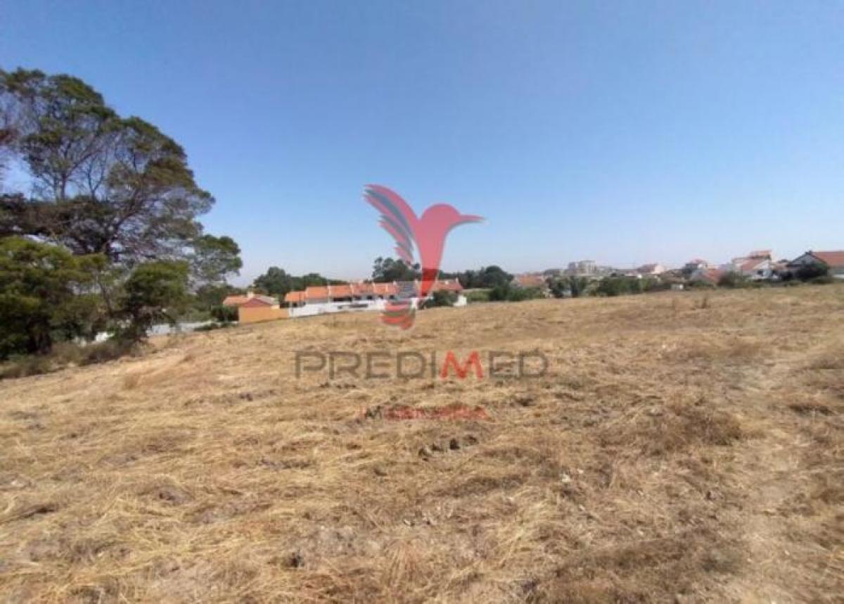 Picture of Residential Land For Sale in Seixal, Madeira, Portugal