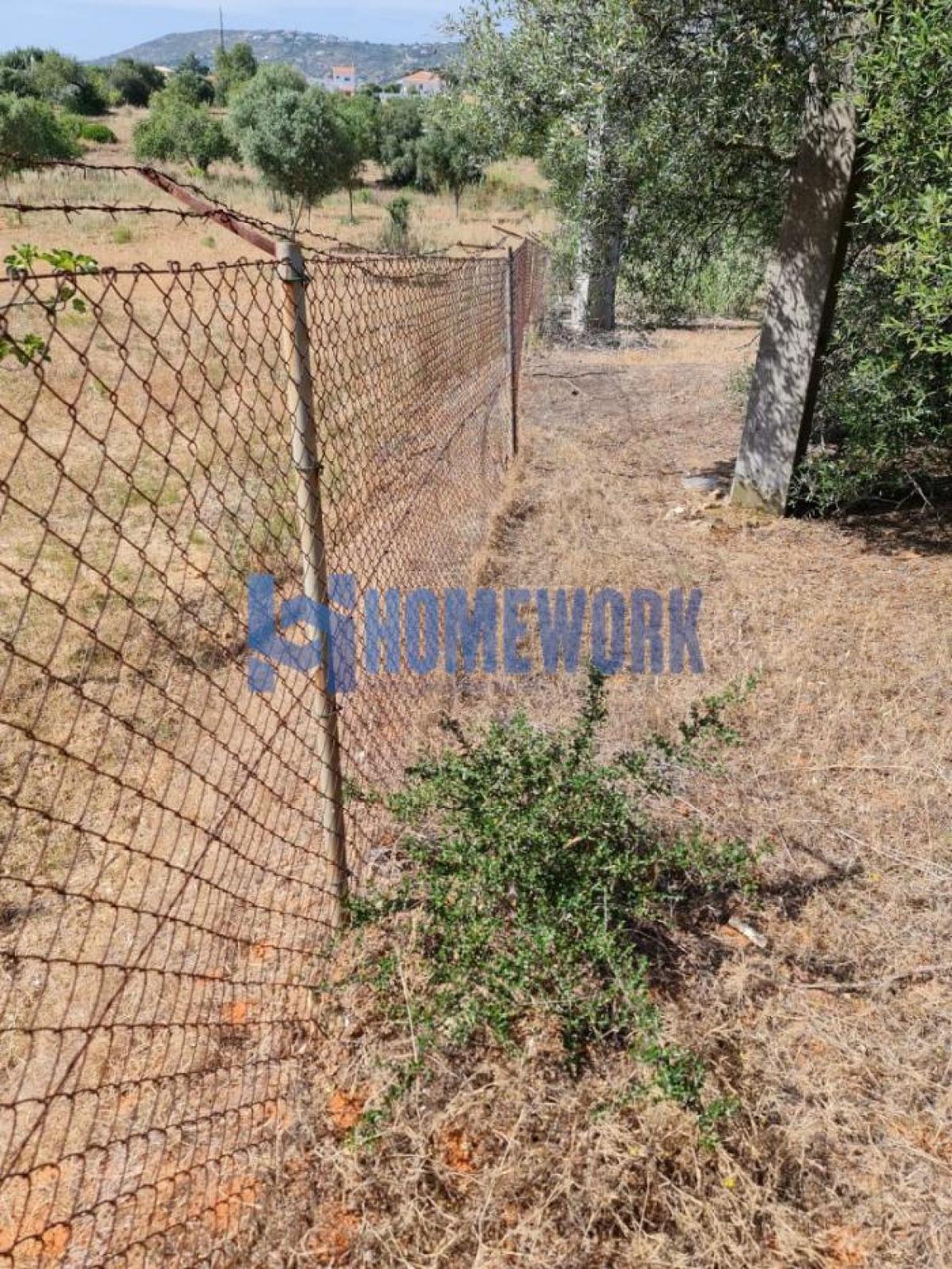 Picture of Residential Land For Sale in Loul, Algarve, Portugal