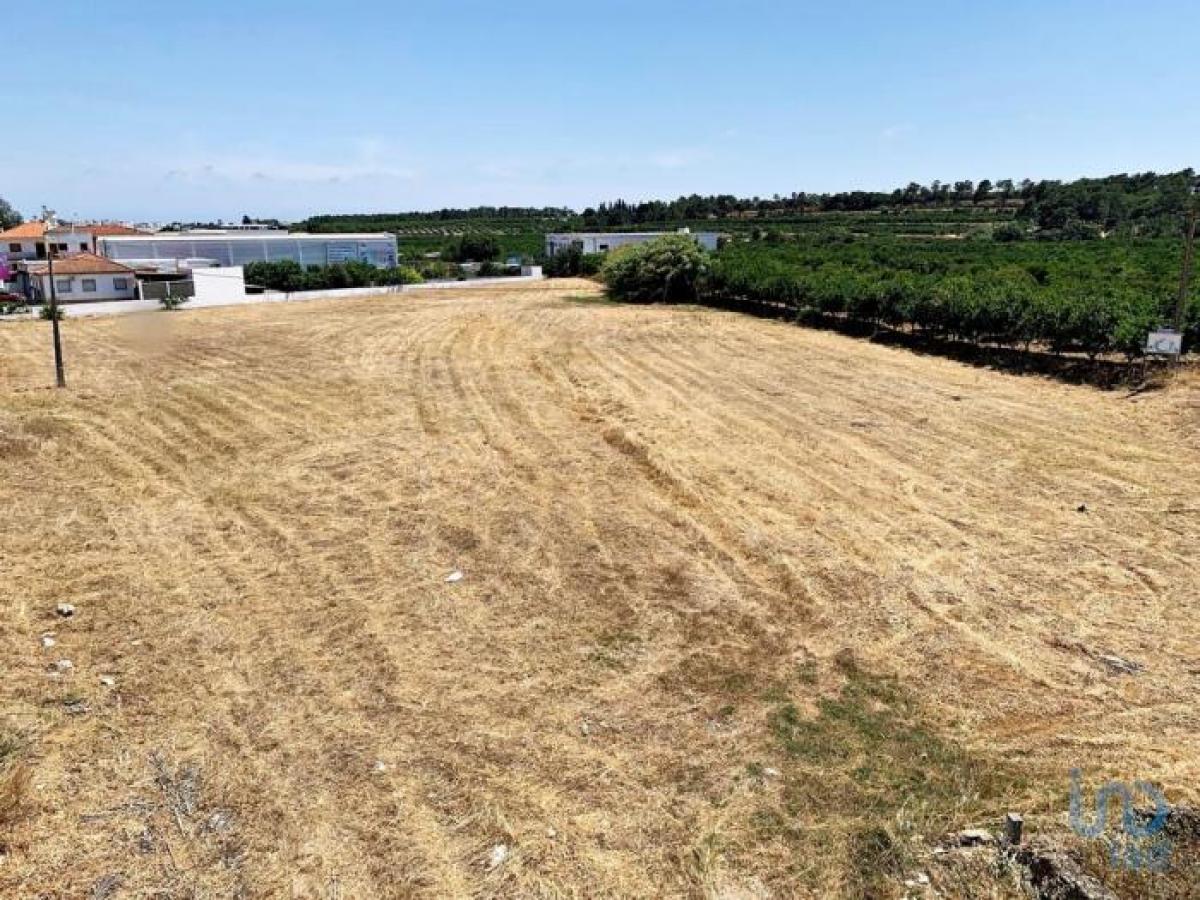 Picture of Residential Land For Sale in Faro, Algarve, Portugal