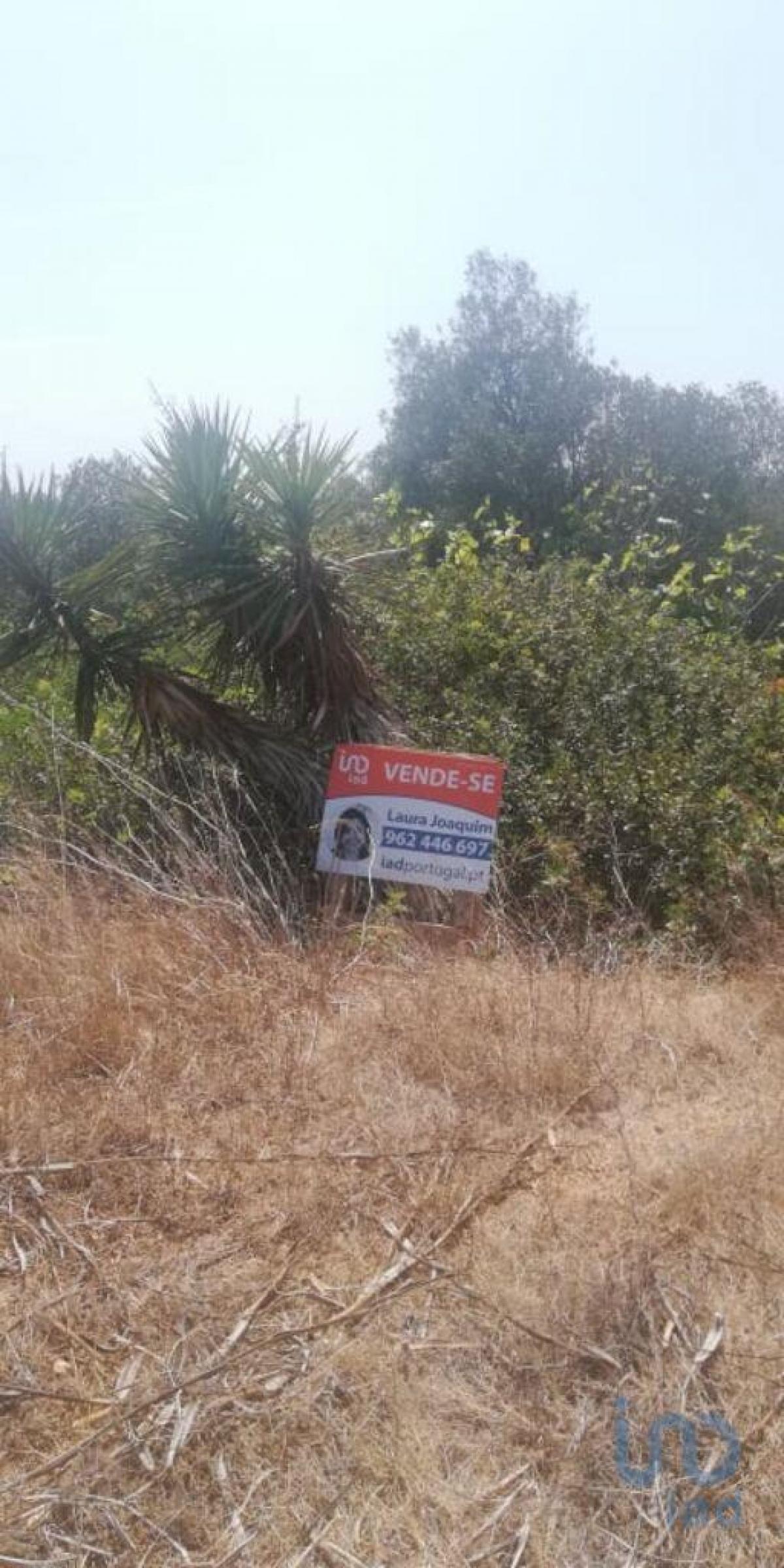 Picture of Residential Land For Sale in Vila Do Bispo, Algarve, Portugal