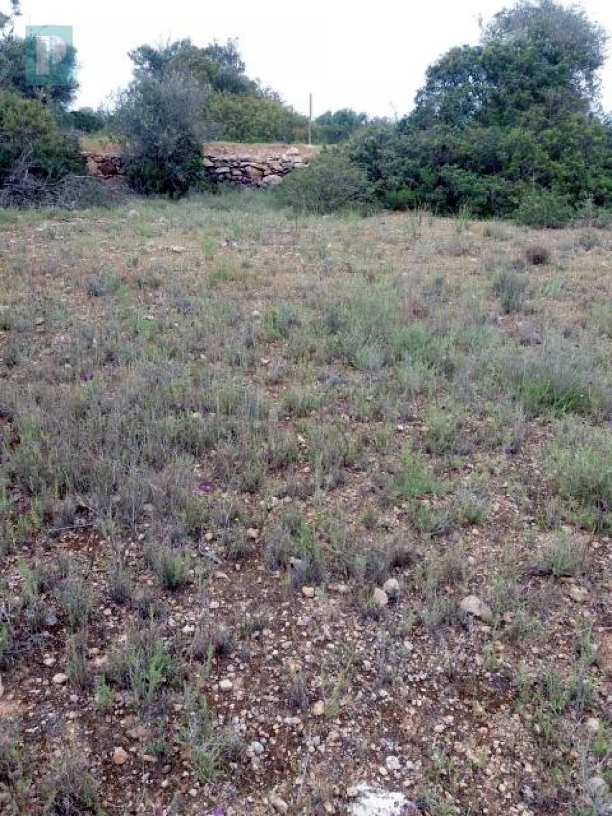 Picture of Residential Land For Sale in Silves, Algarve, Portugal