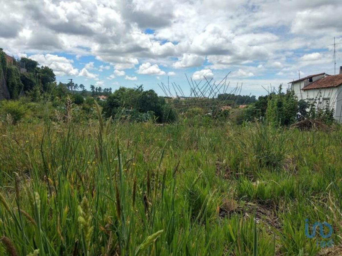 Picture of Residential Land For Sale in Leiria, Beira, Portugal