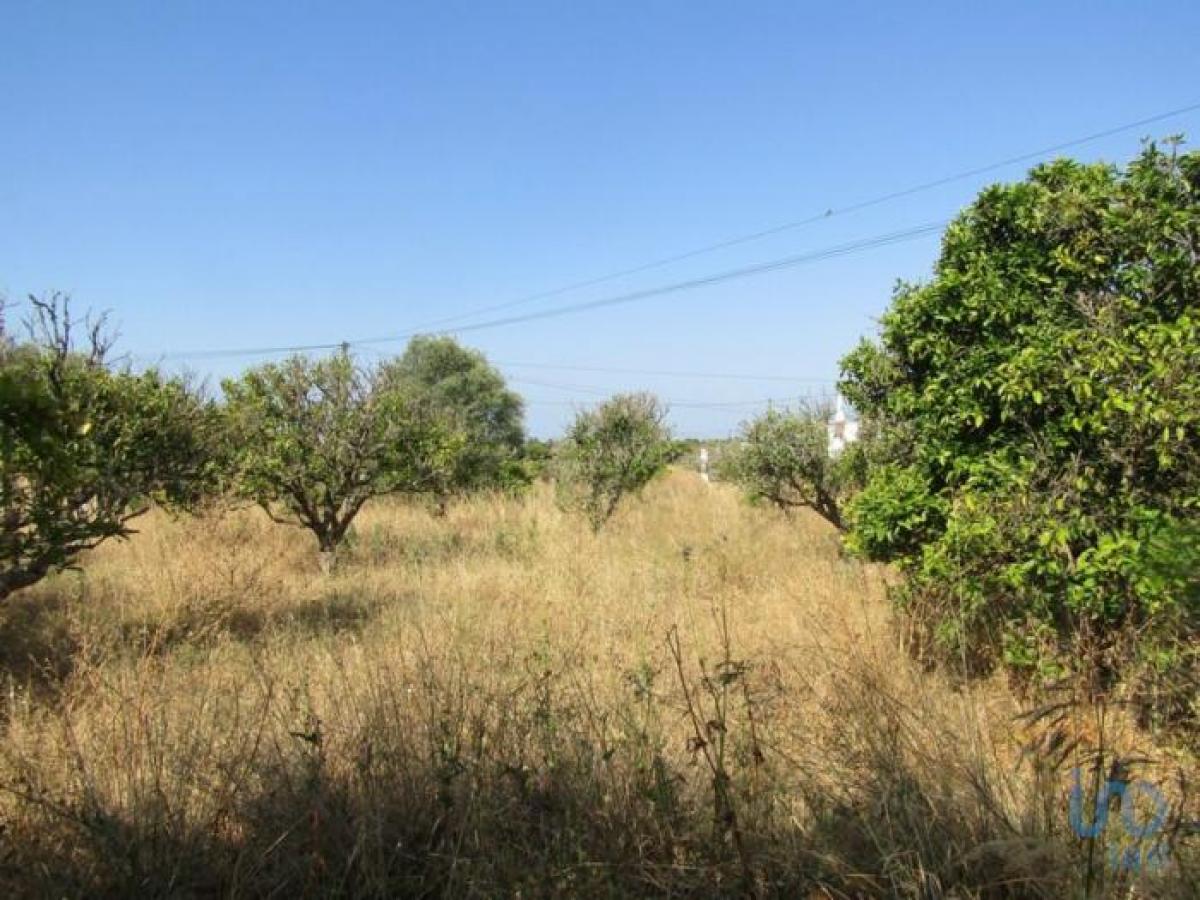 Picture of Residential Land For Rent in Albufeira, Algarve, Portugal