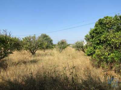 Residential Land For Rent in 