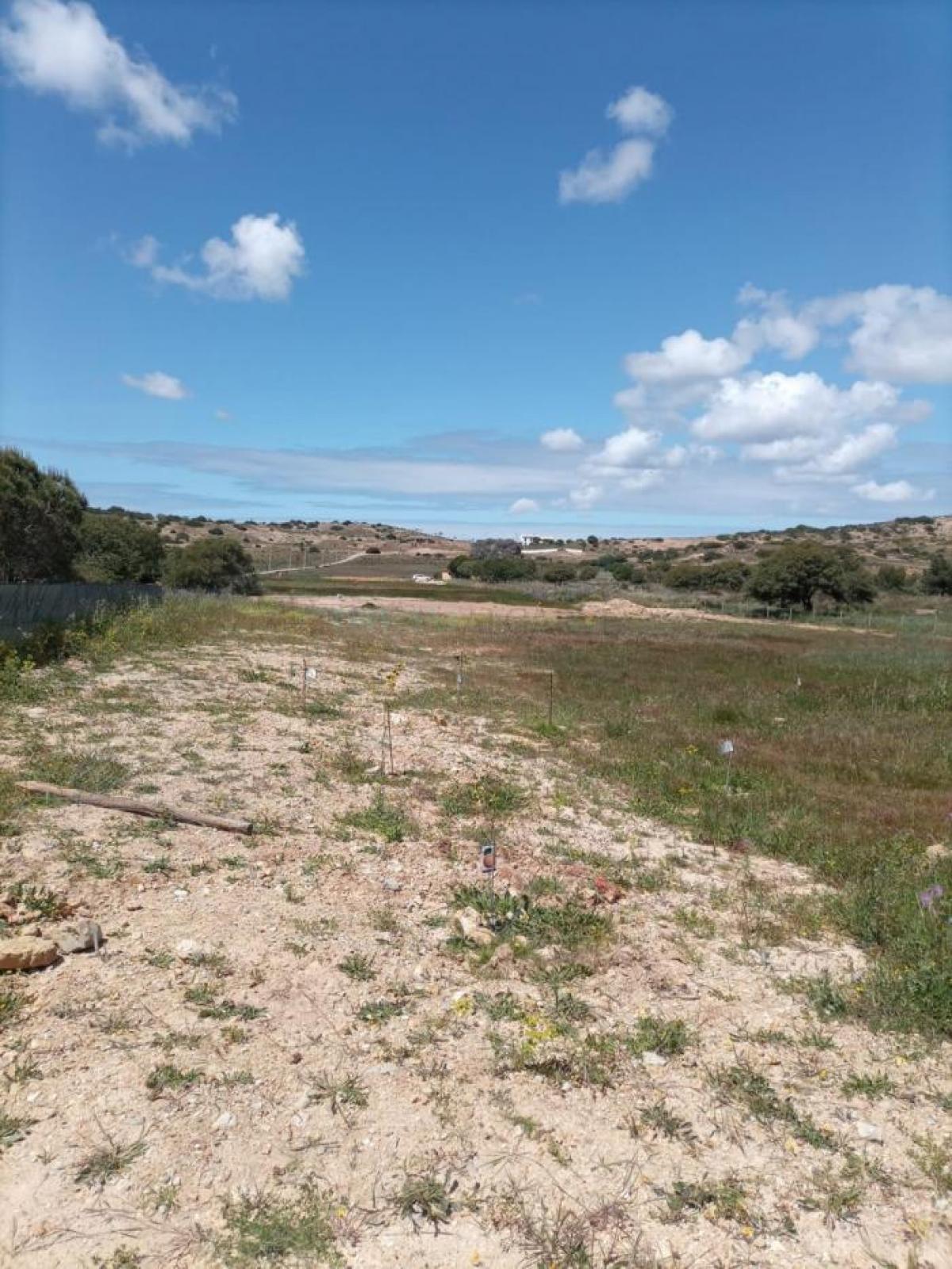 Picture of Residential Land For Sale in Lagos, Algarve, Portugal