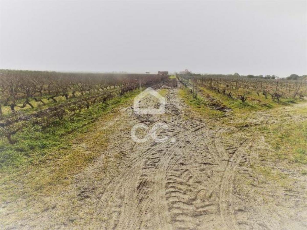 Picture of Residential Land For Sale in Palmela, Sterea Ellas-Évvoia, Portugal