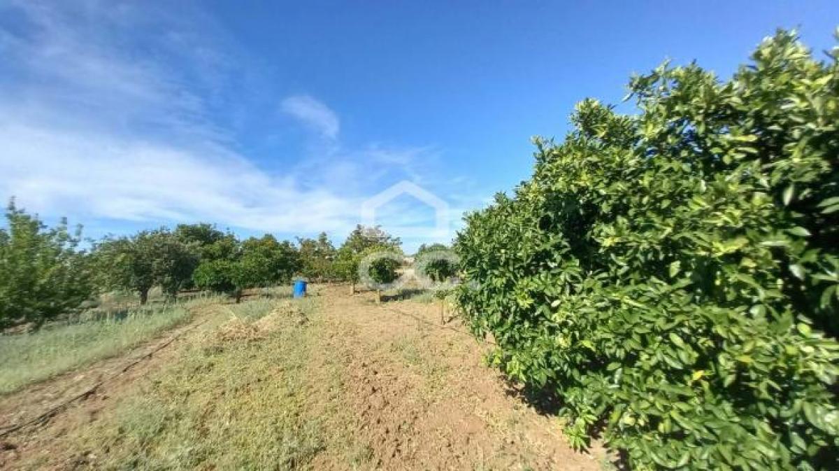 Picture of Residential Land For Sale in Beja, Alentejo, Portugal
